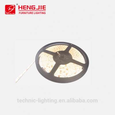 led flexible strip lights for night bar,RGB led flexible hose lamps,flexible led rope lighting